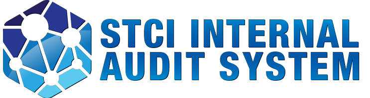 Internal Audit System